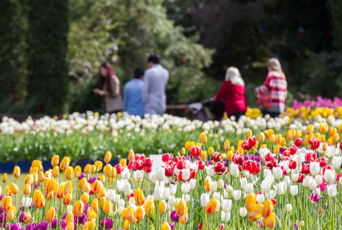 Araluen Botanic Park