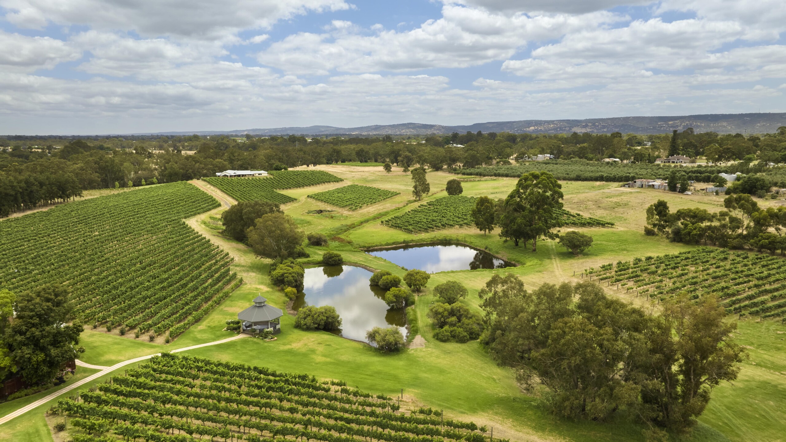 swan valley tours perth