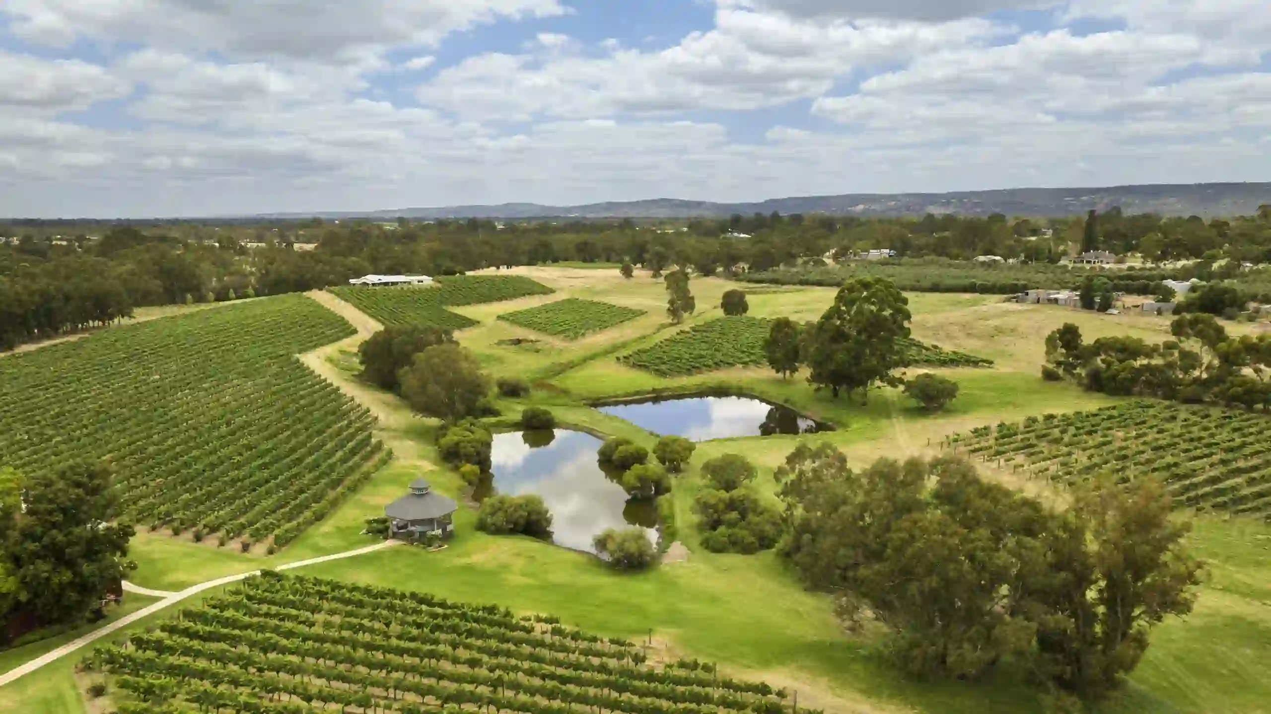Swan Valley